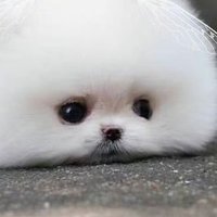 ๐๏ธ๊ทธ๋ ์ดํ ํ๋ฃจํธ๐๏ธ (@zz967532172) 's Twitter Profile
