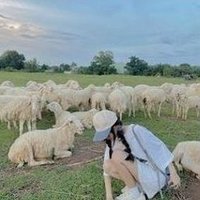 Foonawc (@foonawc56786) 's Twitter Profile