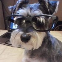 dez:3 (@yoyobearrr) 's Twitter Profile