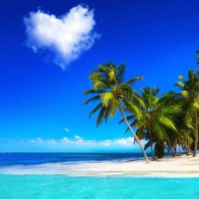 BawalIlyas32878's profile picture. تبقا بأسمك  شامخآ ياموطني 🇩🇿
ويرف علمك عاليآ لا ينحني 
حتا وأن جارت عليك سيوفهم 
بسواعد الابطال لالا تنثني🇵🇸