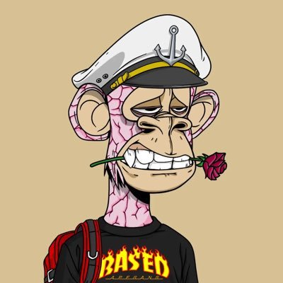 solvtee23's profile picture. NFT Collector | Ape Gang #236 | Apechain Maxi Connecting with like minds.