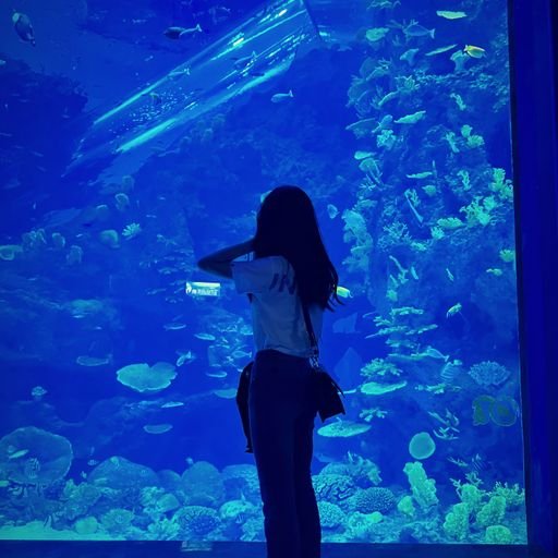 Lexir288006's profile picture. Gods determine what you're going to be。