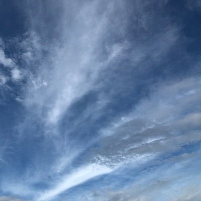 BluSkye1465712's profile picture. 