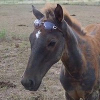 саня (@sanyatoska) 's Twitter Profile Photo