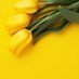 مقبل علي (@mugblall) Twitter profile photo مقبل علي (@mugblall) Twitter profile photo