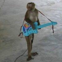 Ruud (@gullitwo) 's Twitter Profile Photo Ruud (@gullitwo) 's Twitter Profile Photo