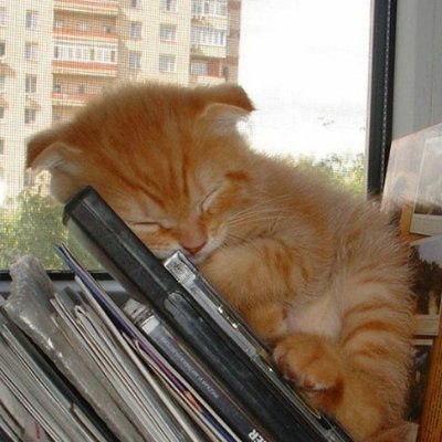 dipnd0t's profile picture. 20 yo