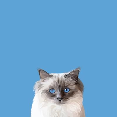 A_B0091's profile picture. 