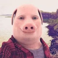 The Cult of John Pork (@cultofjohnpork) 's Twitter Profile