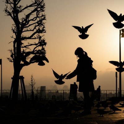 w3lmaj6s's profile picture. 