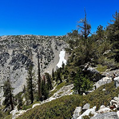 Grazyna19704978's profile picture. 如果走不过别人，那就站起来奔跑。