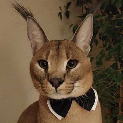 OptrixSwag's profile picture. 