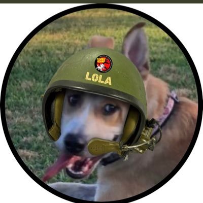 59sept's profile picture. Bailey -my 14 year old lab mix - my shadow and love -has gone to 🌈 bridge 10-2023 Tula new to the family 1-2024 #ZSHQ