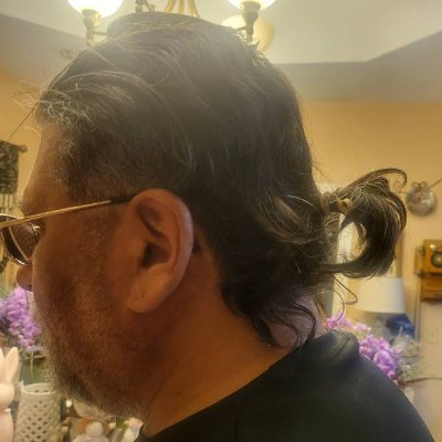 Do you think I look like Tony Banderas cause I'm phat n ugly for my ponytail