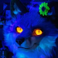Anti π²π¦π² (@antibluefox) 's Twitter Profile