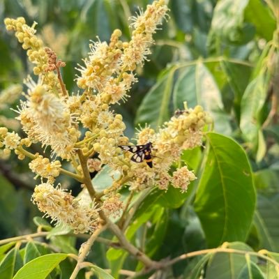 deric17's profile picture. 