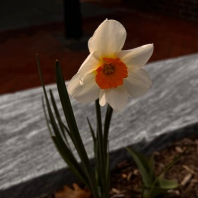 PinkBubbles1st's profile picture. I am whoever I say I am and I’m exactly where I want to be.