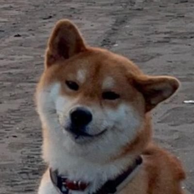 FISHTHUNDER5's profile picture. 