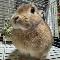 ここ🍃🐰🐰 (@coco20201010) 's Twitter Profile Photo