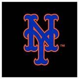 SciFi Author - look for my debut SciFi novel, The Time Engineers, this summer on Kindle! Mets. Jets. Sports. Weather. Poet. Jazz. Economics.