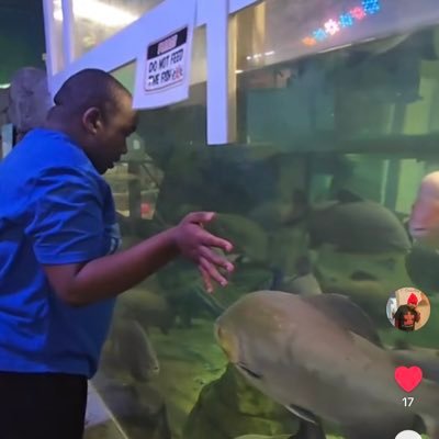 calvinquistad's profile picture. 