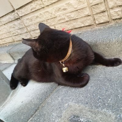 matsu_UoxoU's profile picture. 投資×エロ垢/1年で130万→3300万円/総資産8000万円/目指せ1億/27歳/180cm/69kg/赤羽/川口