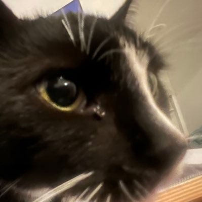 niklassheth's profile picture. Short answer: not really.
