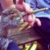 cannabis du 94 (@94cannabis35404) Twitter profile photo cannabis du 94 (@94cannabis35404) Twitter profile photo