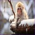 Joakim Andersson (@joakimande49613) Twitter profile photo