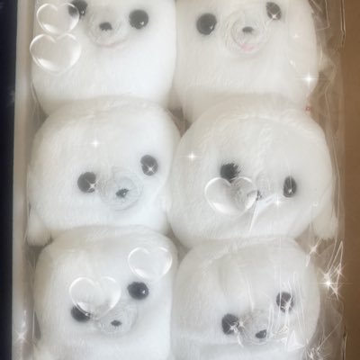 20↑成人済 サブカルが好きです。見る専&趣味アカが主です。フォロバなし無言フォローごめんなさい。かわいいものがだいすきです。たまに鍵をかけます。Xポスト初心者です