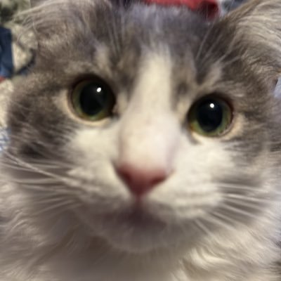 HurricaneCat1's profile picture. 