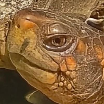 MikeNielson616's profile picture. 