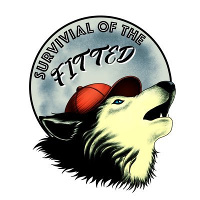 sotfseries's profile picture. 