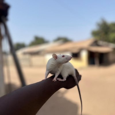 Am from Africa the Gambia I living with my siblings and some of the orphan we are living in a very hard life and we need help from anyone in the name of Jesus.