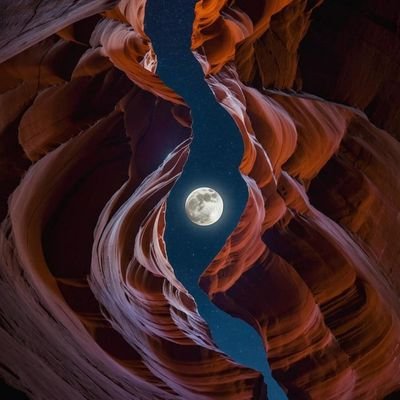 melvinthegayboy's profile picture. A bloke from London.