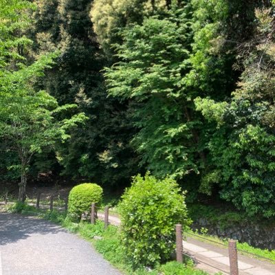 kou1993life's profile picture. 趣味は読書と音楽鑑賞、アニメ鑑賞。大型自動車免許1種を取得。