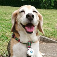 ゴン太様 ゴン太 - Search / X