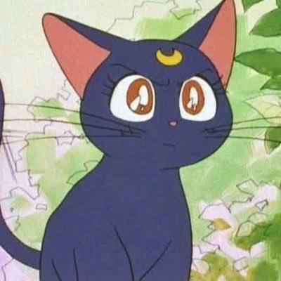 j7033377598496's profile picture. 56/42　別垢