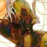 imlusou's profile picture. 20 Jarka / ยาร์กา(จ๋า) 🌞💛🔆🔅☀️ | Art student & Illustrator | TH&EN🔸side account @jahs0u🚫AI
