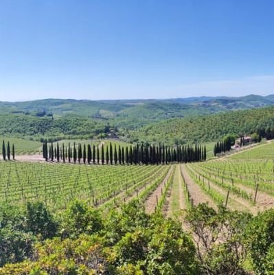 dokisnotoki's profile picture. Some a lawful, some a bastard, some a jacket:
Oh, what a rat race, yeah! Rat race!