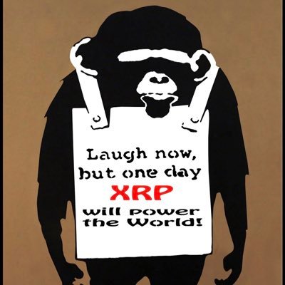 bearybullish589's profile picture. conviction and patience. relish the chance to be an outsider, because it’s the outsiders who change the world.