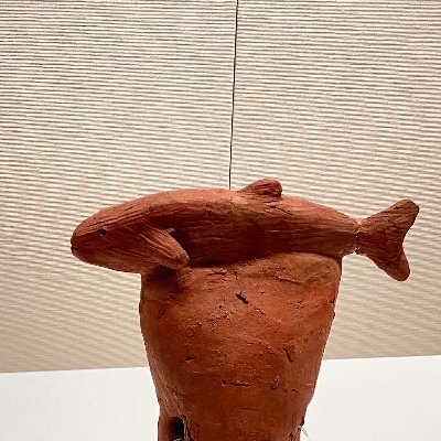 F1y1ng_OZB_'s profile picture. QU 農学M2 / 生研🦆
魚の免疫を研究します🦈
アイコンは鮭の埴輪