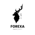 Suryanshu Shankar (@forex_wth_wang) Twitter profile photo Suryanshu Shankar (@forex_wth_wang) Twitter profile photo