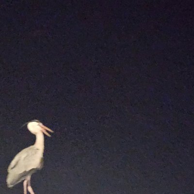 grammygram16's profile picture. 스토킹 성향을 점검했더니 너무 높게 나와서 치료를 결심함