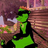 SimplyUshoriXD (@sushorixd) 's Twitter Profile