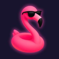 Solana Party 🦩🌊 (@solanaparty_) 's Twitter Profile
