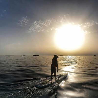 sstgd95553684's profile picture. 