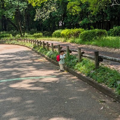 ゆーかりさんのプロフィール画像