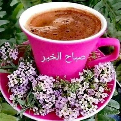 askndarni's profile picture. انا احب ناس وصدقه واخلاص