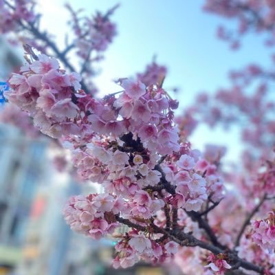 qian_torihiki's profile picture. 30↑🚺／グッズ取引用アカ／周辺B済／最推し：🧸🍫／コンプ目的のため最推しを交換に出すこともございます